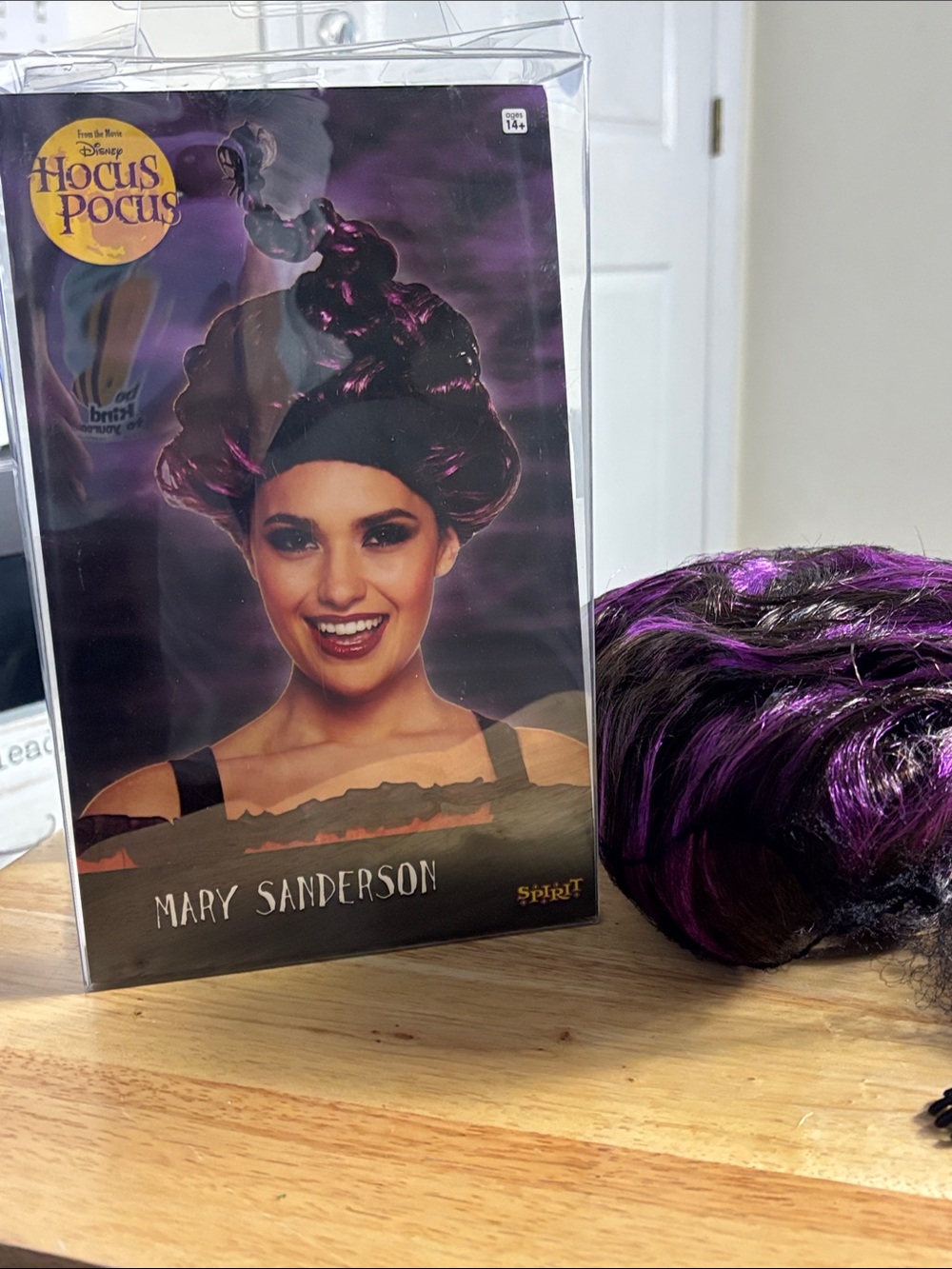 Spirit Mary Sanderson Wig - Black & Purple